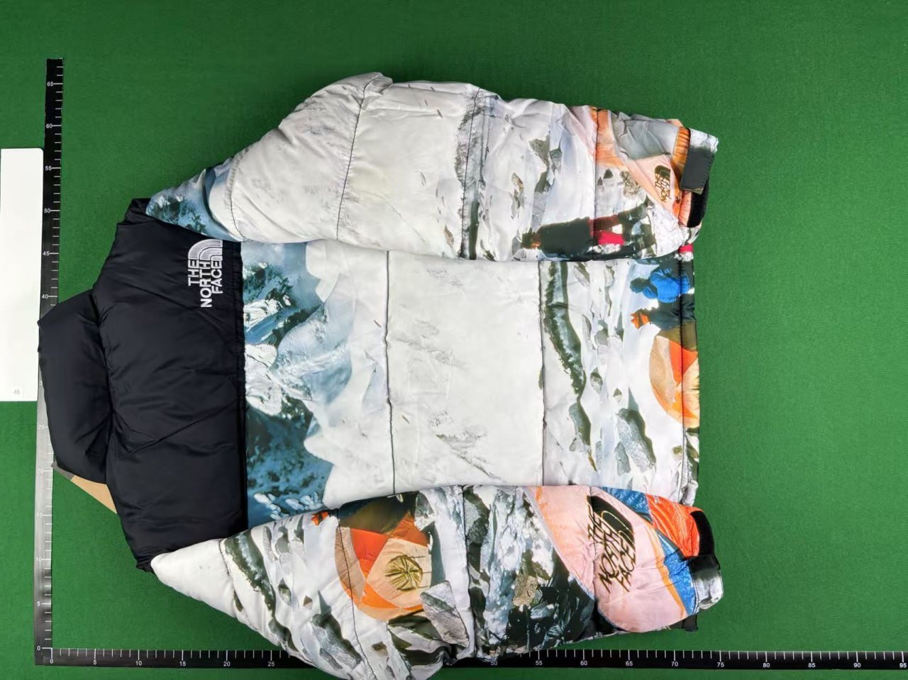The North Face down jacket