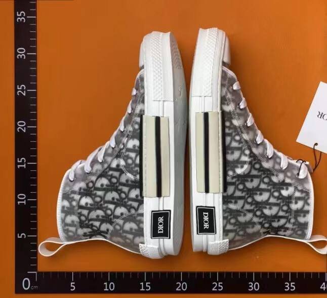 DIOR B23（20+ Styles）